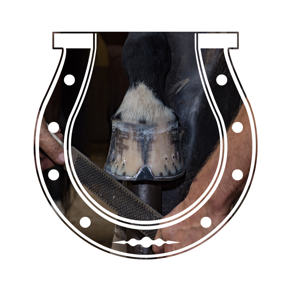 hoefsmid-kevin-cremers.png