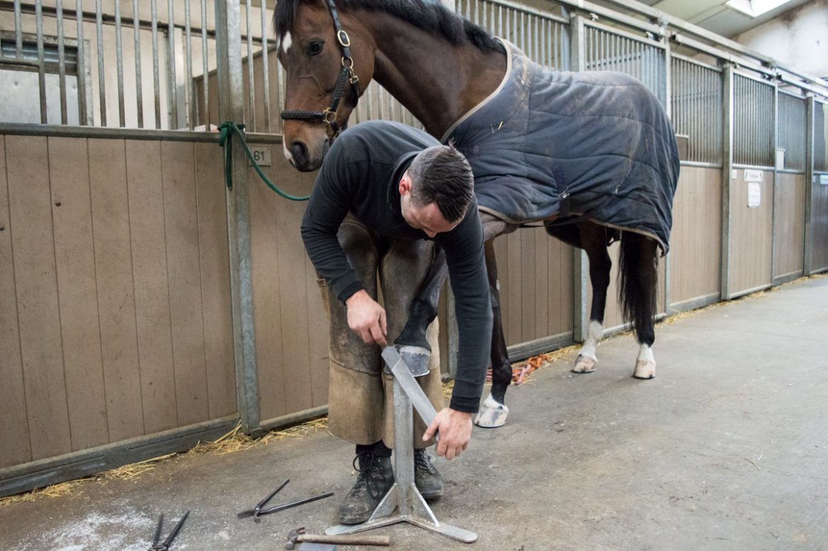 HOEFVERZORGING-EN-HOEFBESLAG.jpg